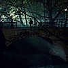 Filename=1042.jpg
Filesize=251KiB
Dimensions=1920x1080
Date added=Aug 26, 2017 1042.jpg