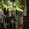 0308.jpg