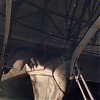2159.jpg