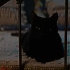 Filename=C30_1627.jpg
Filesize=135KiB
Dimensions=1920x872
Date added=Sep 24, 2021 C30_1627.jpg