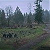 C36_1663.jpg