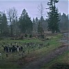 C36_1665.jpg
