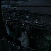 0485.jpg