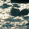 Filename=1087.jpg
Filesize=289KiB
Dimensions=1916x1076
Date added=Jul 08, 2018 1087.jpg