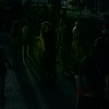 0870.jpg