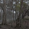 0452.jpg