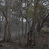 0454.jpg