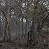 0455.jpg