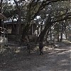0460.jpg