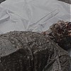 0571.jpg