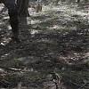 0733.jpg