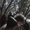 0737.jpg