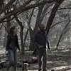 0745.jpg