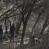 0747.jpg