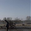 0779.jpg