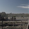 0839.jpg