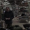 0958.jpg