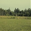 Filename=HVN_0498.jpg
Filesize=102KiB
Dimensions=1280x720
Date added=Aug 24, 2011 HVN_0498.jpg