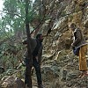 La_Brea_102_0603.jpg