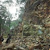 La_Brea_102_0609.jpg