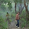 La_Brea_102_1029.jpg
