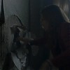 0677.jpg