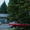 0783.jpg