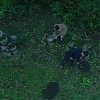 0545.jpg