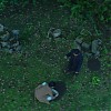0547.jpg