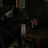 Filename=OUAT207-01043.jpg
Filesize=46KiB
Dimensions=1280x720
Date added=Dec 17, 2012 OUAT207-01043.jpg
