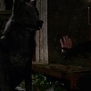 Filename=OUAT207-01044.jpg
Filesize=47KiB
Dimensions=1280x720
Date added=Dec 17, 2012 OUAT207-01044.jpg