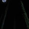 Filename=OUAT207-01115.jpg
Filesize=27KiB
Dimensions=1280x720
Date added=Dec 17, 2012 OUAT207-01115.jpg