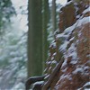 Filename=OUAT116-00866.jpg
Filesize=82KiB
Dimensions=1280x720
Date added=Mar 20, 2012 OUAT116-00866.jpg