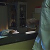Filename=OUAT122-00736.jpg
Filesize=53KiB
Dimensions=1280x720
Date added=May 14, 2012 OUAT122-00736.jpg