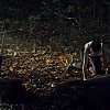 0161.jpg