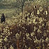 0641.jpg