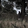 894.jpg