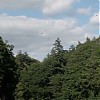 0090.jpg