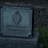 0237.jpg