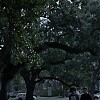 0516.jpg