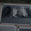 0559.jpg