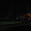 0815.jpg
