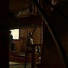 0732.jpg