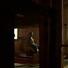 0733.jpg