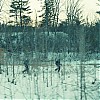 0387.jpg