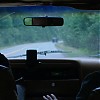 Filename=0622.jpg
Filesize=105KiB
Dimensions=1920x1080
Date added=Jul 18, 2018 0622.jpg