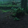 0114.jpg