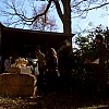 0337.jpg