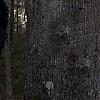 0350.jpg