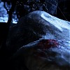 0429.jpg